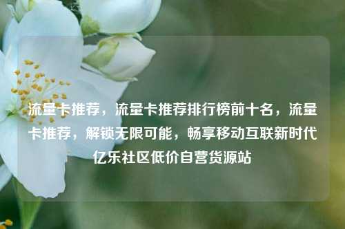 流量卡推荐	，流量卡推荐排行榜前十名，流量卡推荐，解锁无限可能	，畅享移动互联新时代亿乐社区低价自营货源站  第1张