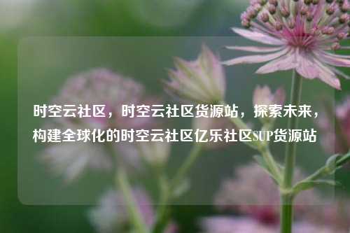 时空云社区	，时空云社区货源站，探索未来，构建全球化的时空云社区亿乐社区SUP货源站  第1张